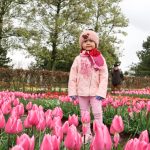 Lil K di kebun bunga tulip Keukenhof